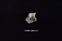 陶瓶藏品圖，第2張